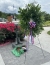 Image for NCCOC: Dedication Ceremony of Gold Star at Field of Honor